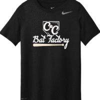 Men's Nike Team Legend Tee