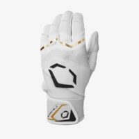 Youth EvoShield Carbyne Batting Gloves