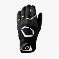 Youth EvoShield Carbyne Batting Gloves